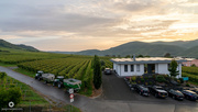 30th Sep 2021 - Moselle vineyards at sunset