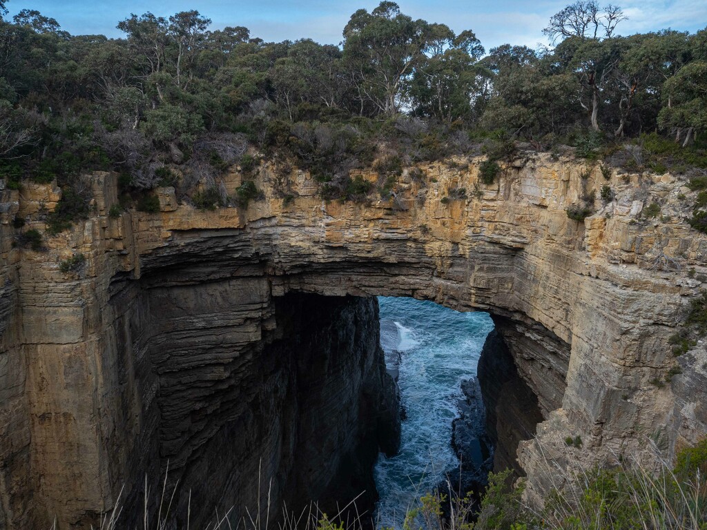 Tasman Arch by gosia