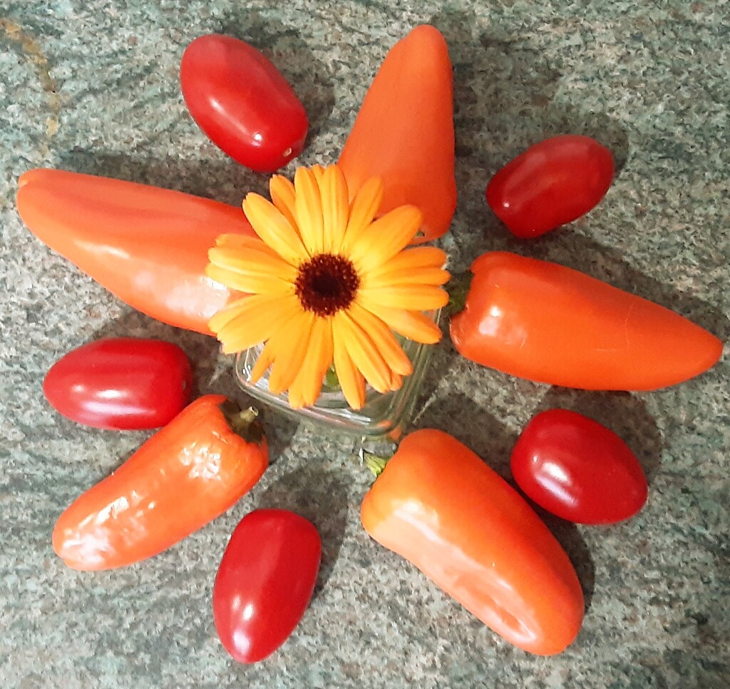 Mini peppers and a Calendula  by grace55