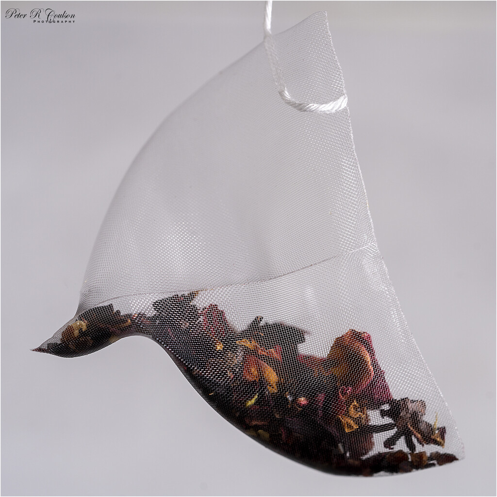Blackcurrant Teabag by pcoulson