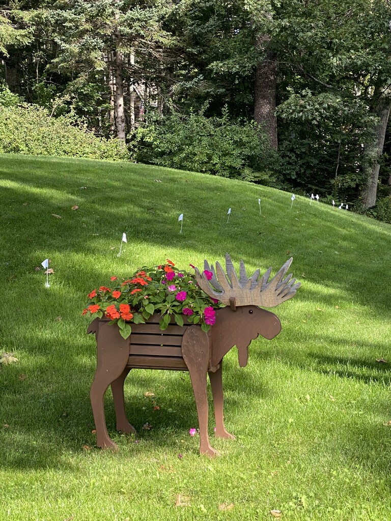Moose Planter by clay88