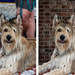 Before and After Texture Replacement by theredcamera