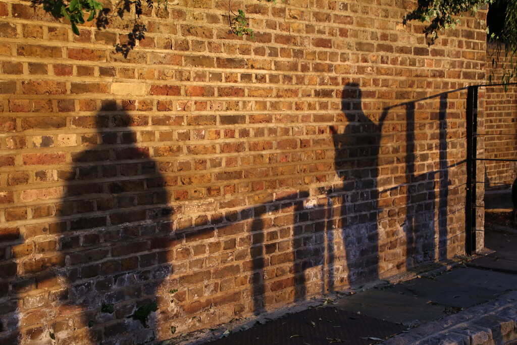 Shadows on a Wall by megpicatilly