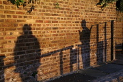 30th Sep 2021 - Shadows on a Wall