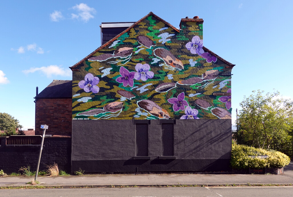 Gable End Mural  by phil_howcroft