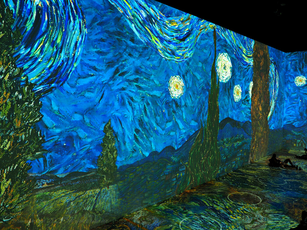 the starry night by summerfield