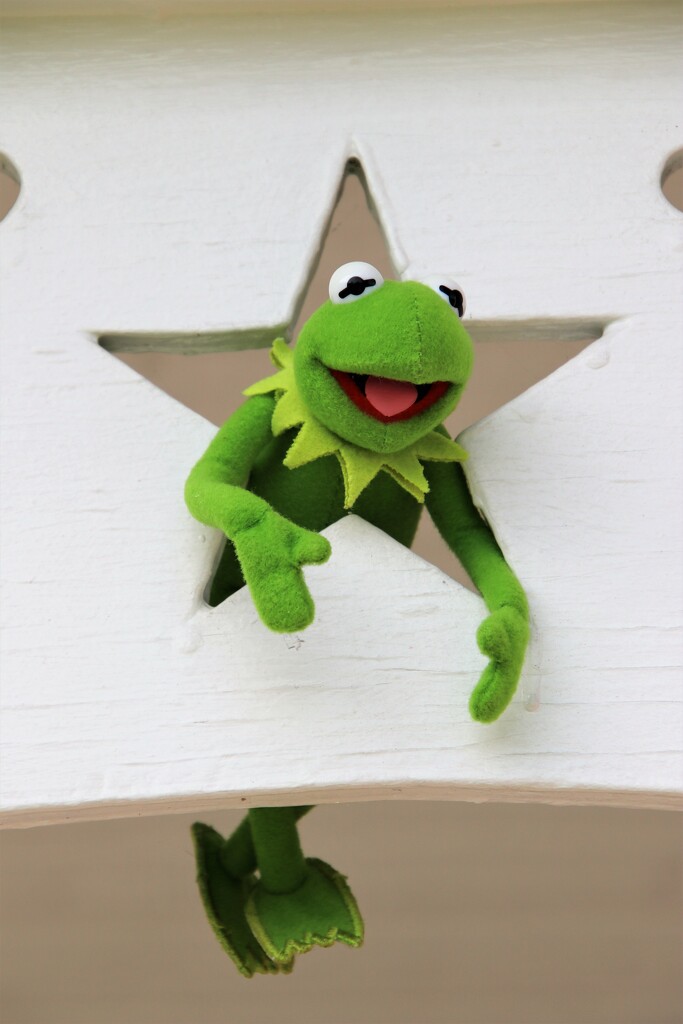 Kermie the star by edorreandresen