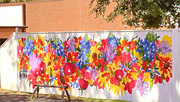 30th Sep 2021 - Murals are so popular 