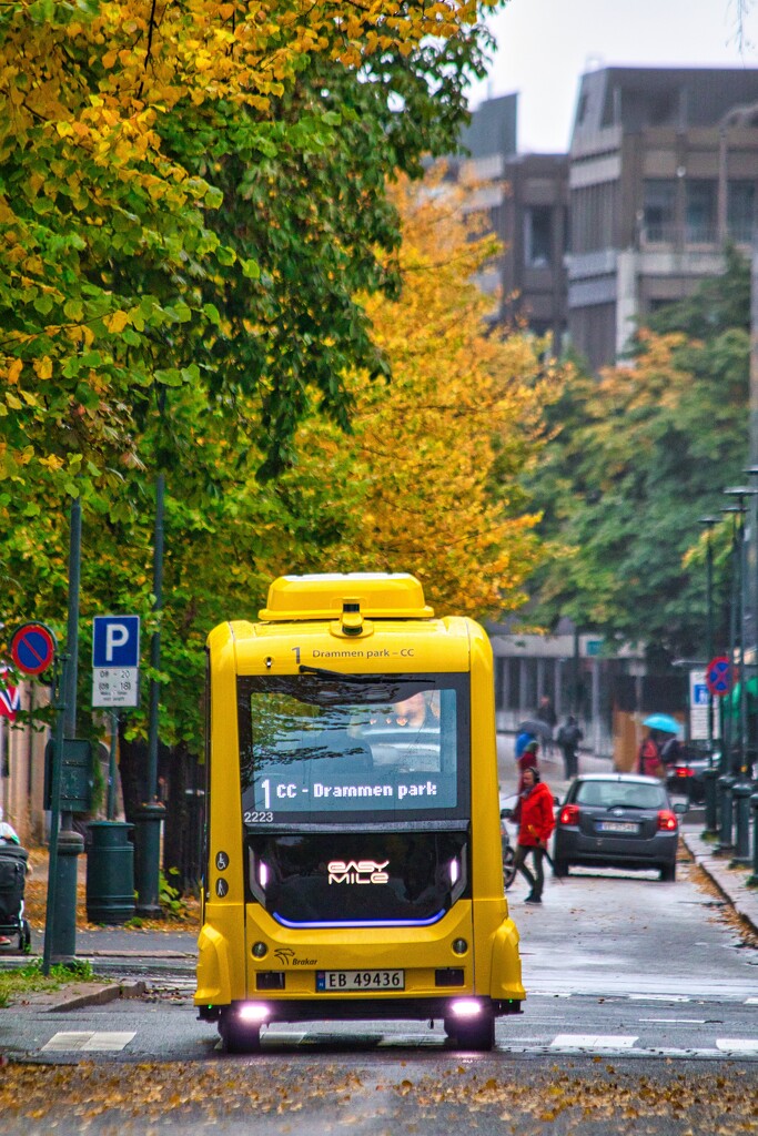 Self driving bus by okvalle