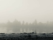 1st Oct 2021 - Foggy Morning 