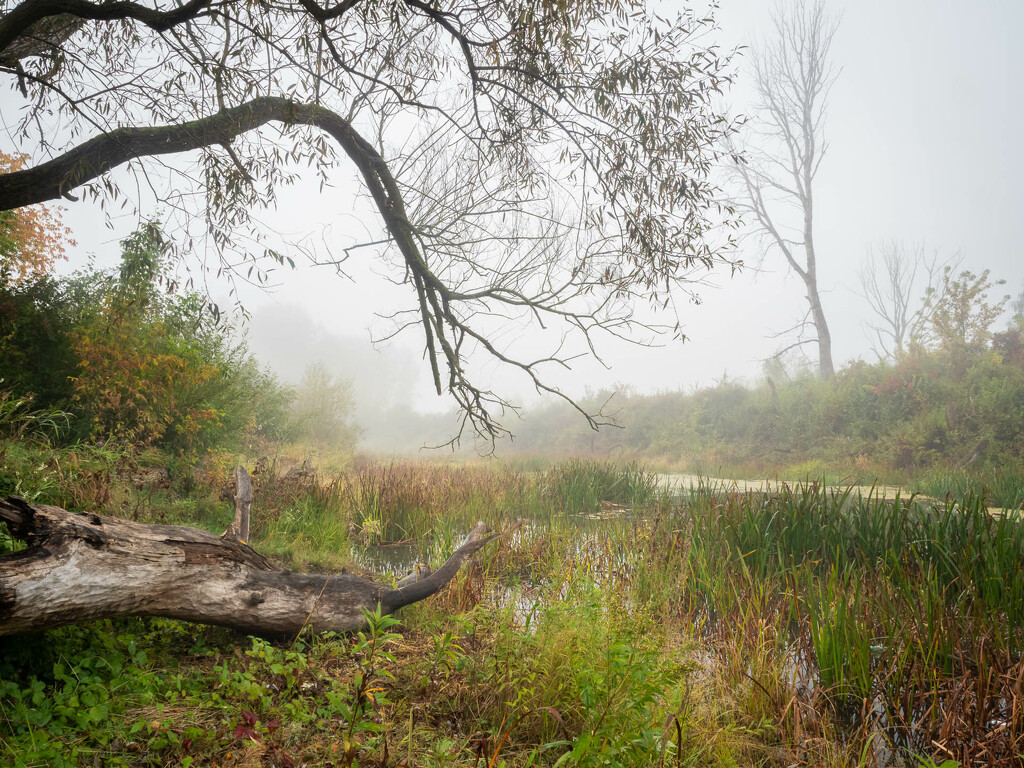 Oxbow lake in autumn  by haskar