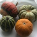 Gourds by jab