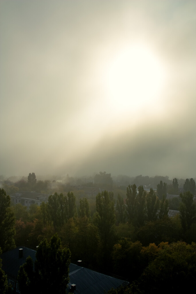 Morning in the fog by daryavr