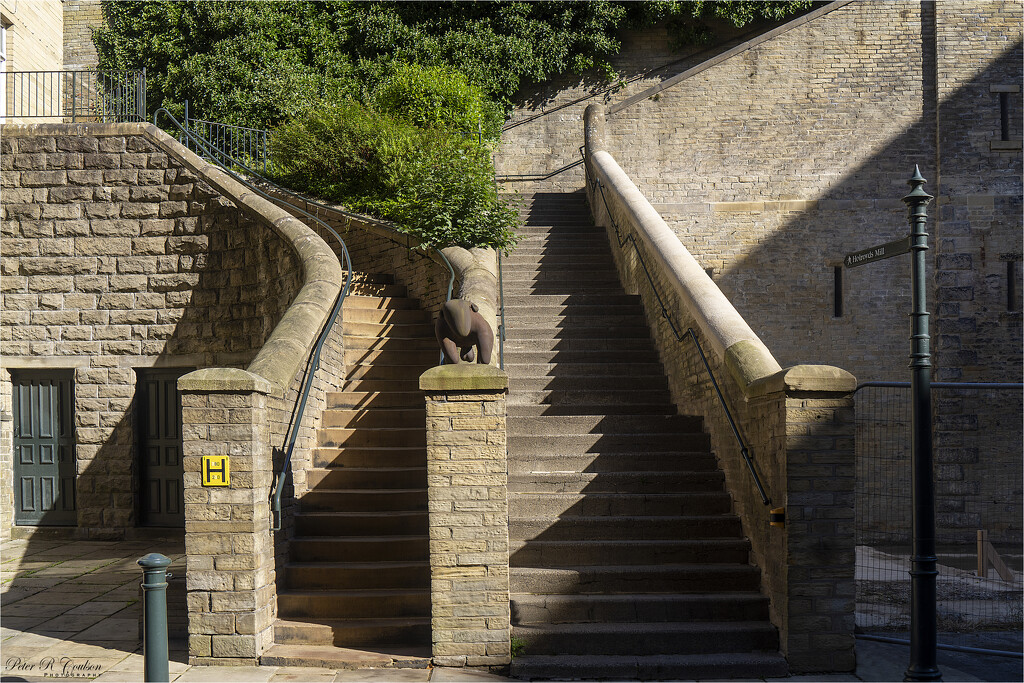 Stonesteps Halifax by pcoulson