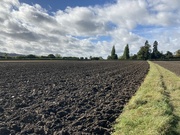 3rd Oct 2021 - Ploughed Field 