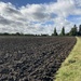Ploughed Field  by cataylor41