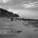 Low Tide by mitchell304