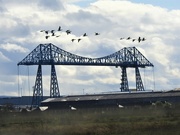 28th Sep 2021 - Transporter Bridge and Geese ........