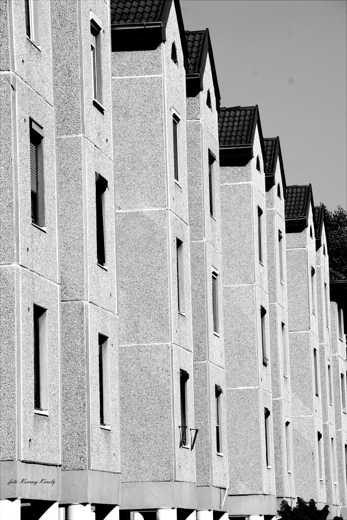 Panel houses by kork