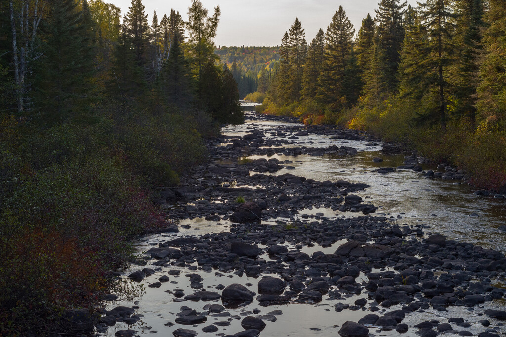 Poplar River by tosee