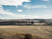 1st Oct 2021 - Fall on the Palouse