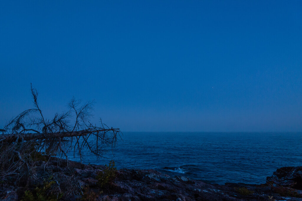 Blue Hour  by tosee