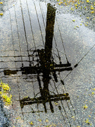 4th Oct 2021 - electric reflections