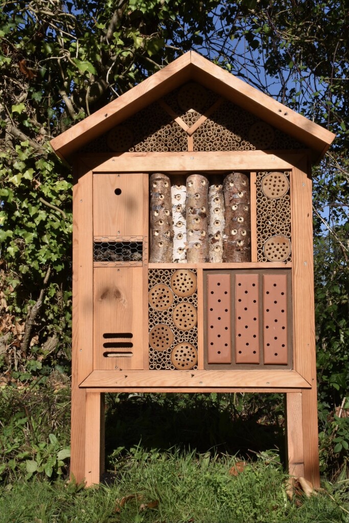 Bug house Hotel  by wakelys