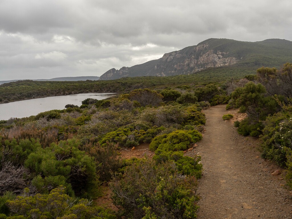 Track to Cape Raoul by gosia