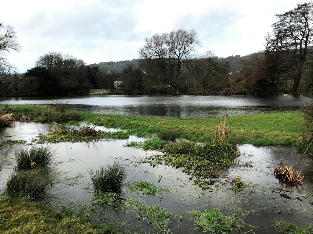 flooded fields by cam365pix