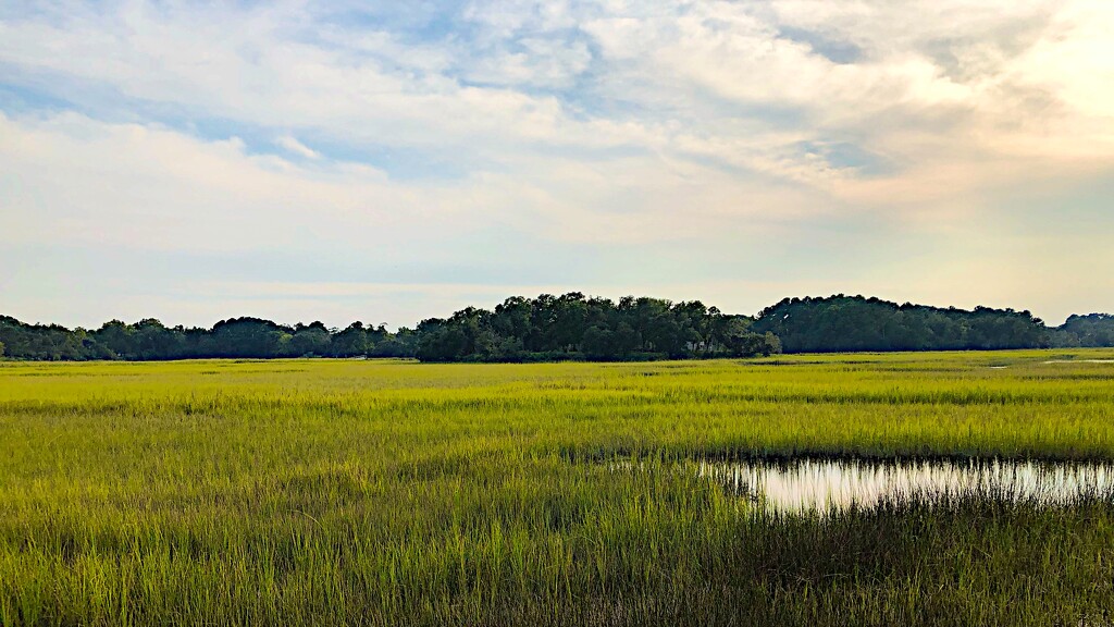 Afternoon marsh sky by congaree