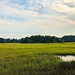 Afternoon marsh sky by congaree