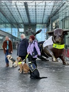 4th Oct 2021 - Guide Dogs