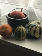 3rd Oct 2021 - Gourds and cauldron 