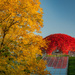 Autumn colors  by haskar