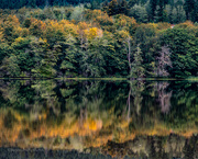 3rd Oct 2021 - Crocker Lake, early Autumn