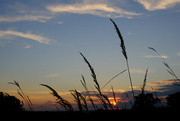 5th Oct 2021 - Sunset on the Prairie...