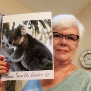 6th Oct 2021 - “Save the Koalas”