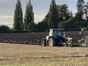 6th Oct 2021 - Birds Loving the Freshly Ploughed Field 