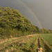 Goldie At The End Of The Rainbow by shepherdman