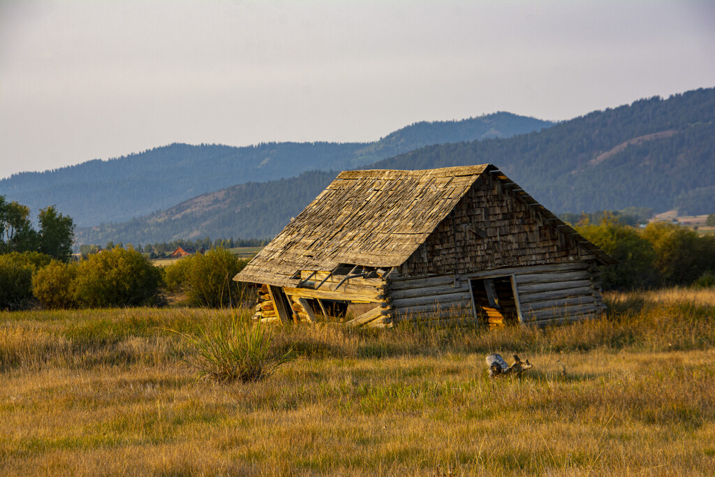 Tired Old Cabin by cwbill