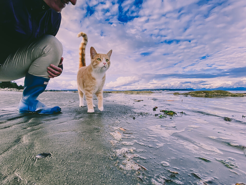 My Beach Walking Buddy by kwind