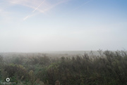 7th Oct 2021 - Foggy morning