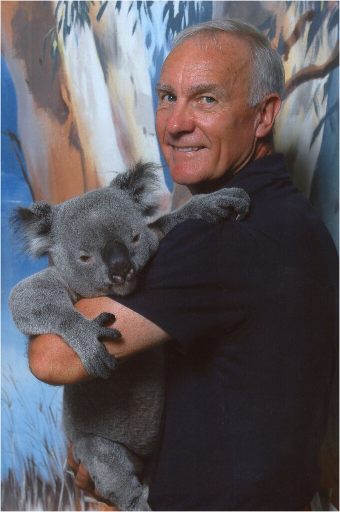 Koala for Katrina by pcoulson