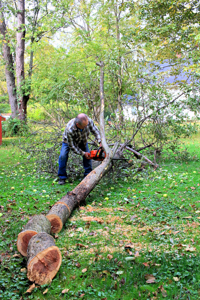 Fighting Grief With a Chainsaw by juliedduncan