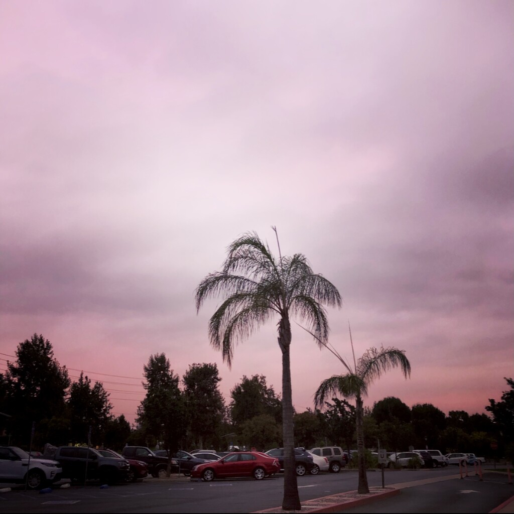 Purple Sky by loweygrace