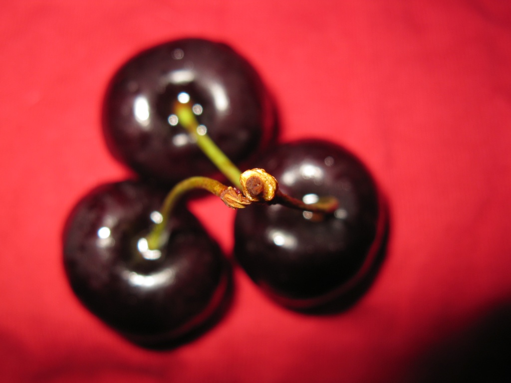 Cherries by alia_801