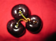 18th Jan 2011 - Cherries