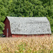 Old Country Barns by danette