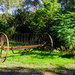 Another rusting piece of farm equipment being used as an lawn ornament by joansmor